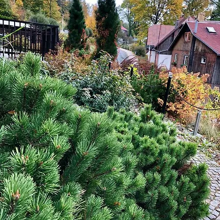 Dziki Panorama Gor, Duzy Taras Z Widokiem Na Gory * Szklarska Poręba