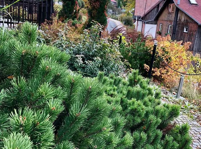 Dziki Panorama Gor, Duzy Taras Z Widokiem Na Gory * Schreiberhau